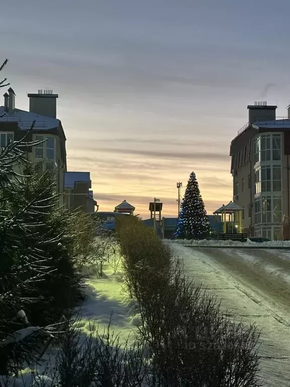 2-к кв. Санкт-Петербург, Санкт-Петербург, Сестрорецк ул. Николая ... - Фото 2