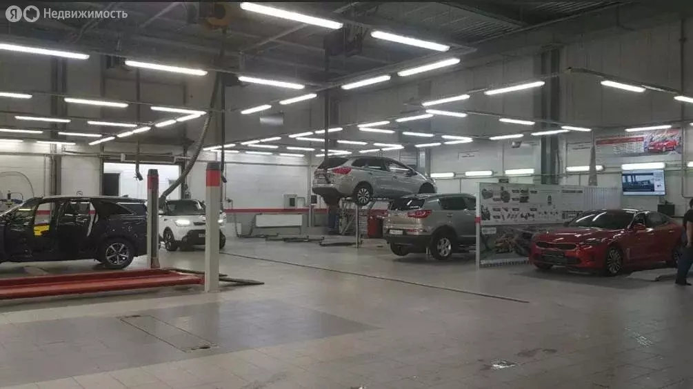 Помещение свободного назначения (1506 м) - Фото 2