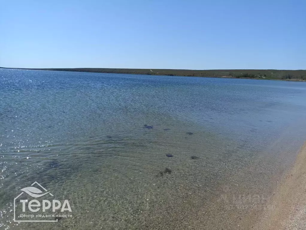 участок в крым, черноморский район, с. новоивановка (6.0 сот.) - Фото 0