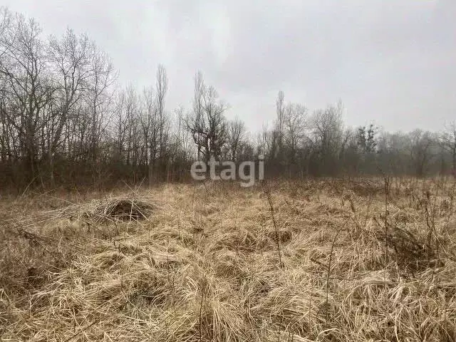 Участок в Краснодарский край, Горячий Ключ муниципальный округ, ... - Фото 0