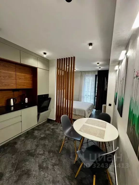 Студия Краснодарский край, Сочи Центральный мкр, пер. Горького, 24к1 ... - Фото 1