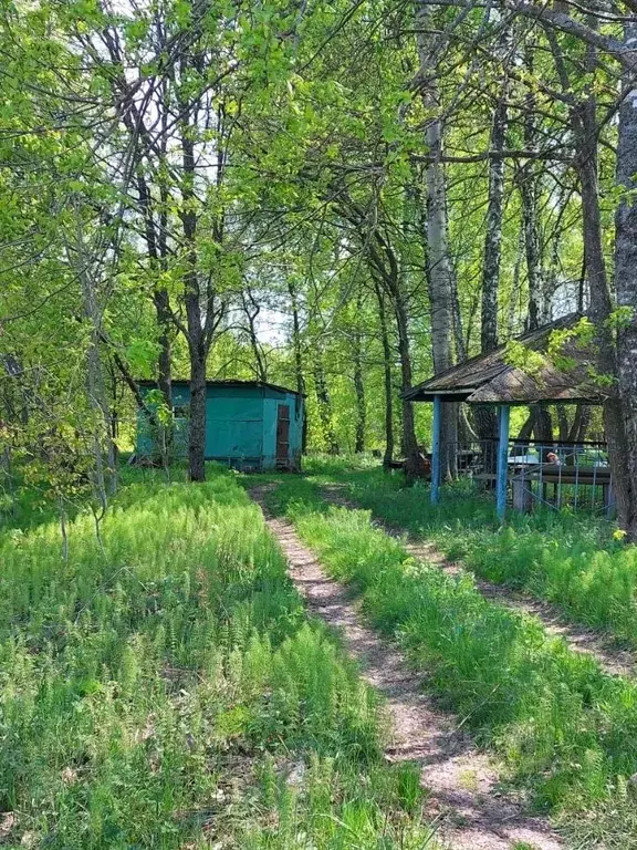 Участок в Орловская область, Мценский район, Аникановское с/пос, д. ... - Фото 0