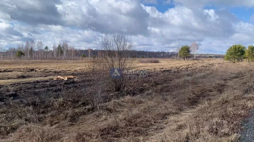 Участок в Тюменская область, Нижнетавдинский район, д. Штакульская  ... - Фото 1