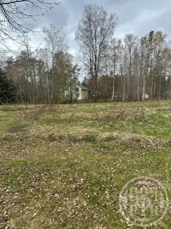 Участок в Ленинградская область, Выборгский район, Приморское ... - Фото 1