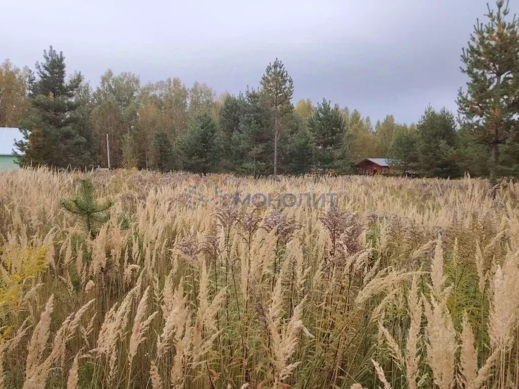 Участок в Нижегородская область, Городецкий муниципальный округ, д. ... - Фото 1
