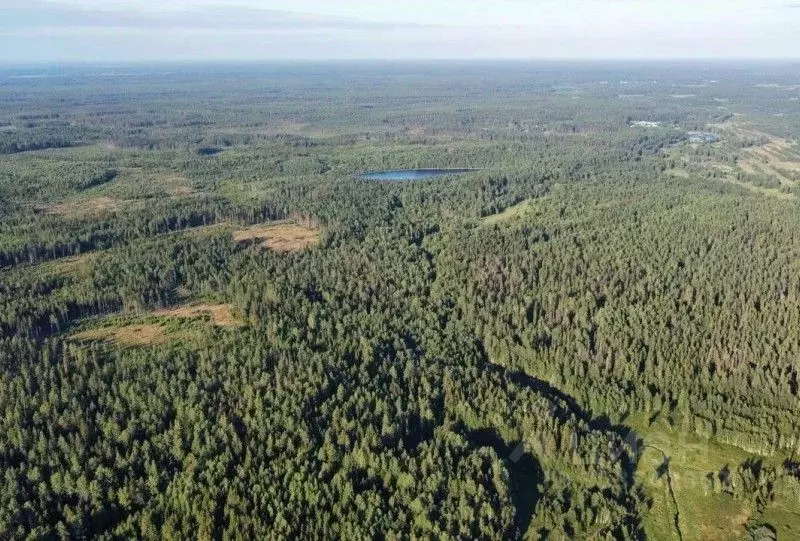 Участок в Ленинградская область, Приозерский район, Раздольевское ... - Фото 1