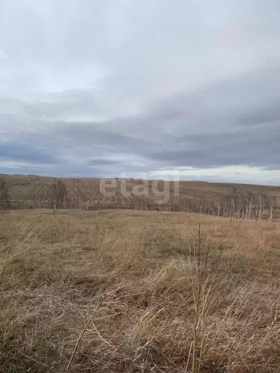 Участок в Красноярский край, Емельяновский район, Солонцовский ... - Фото 0