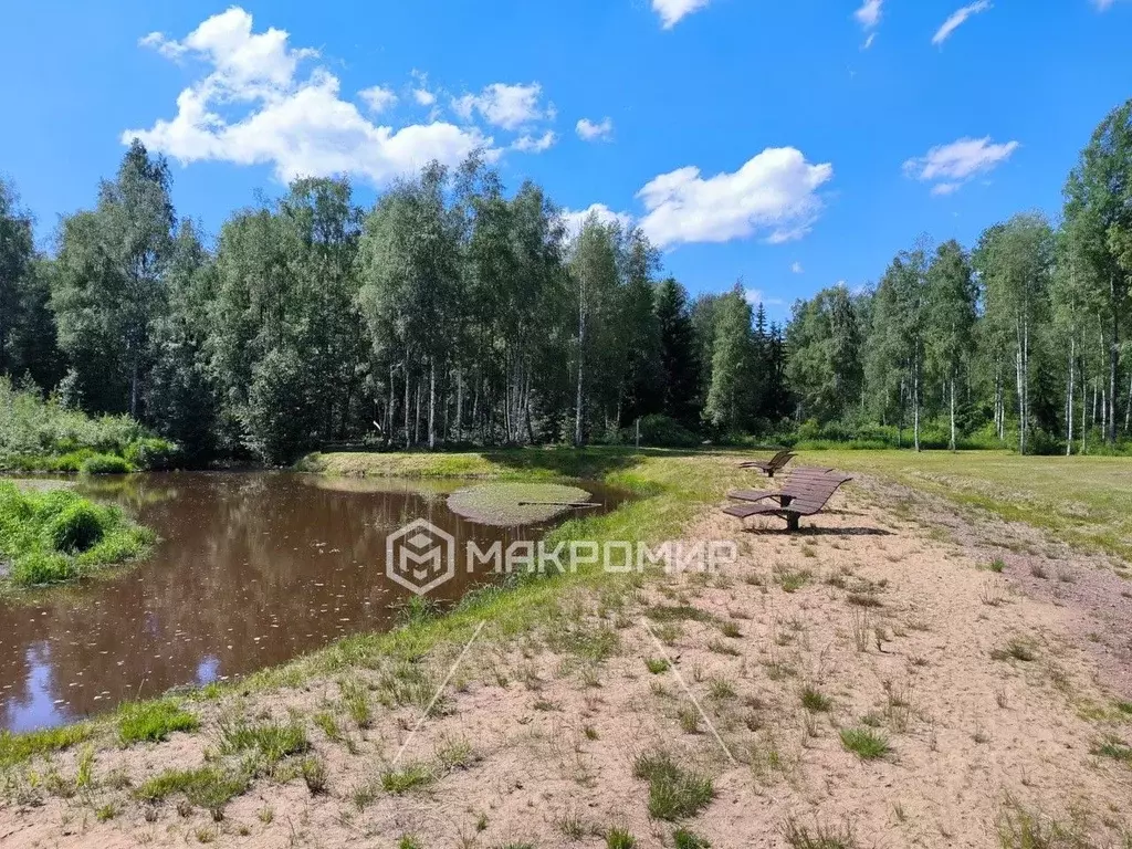 Участок в Ленинградская область, Всеволожский район, Куйвозовское ... - Фото 0