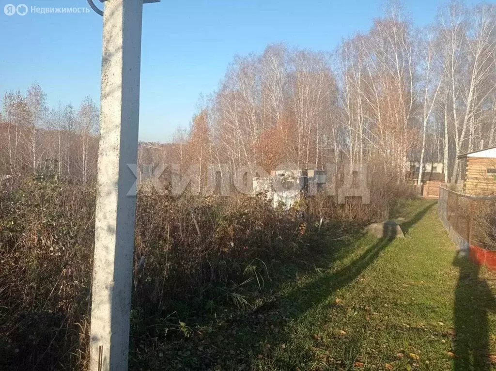 Участок в Новосибирск, НСТ Ветеран (6 м) - Фото 0