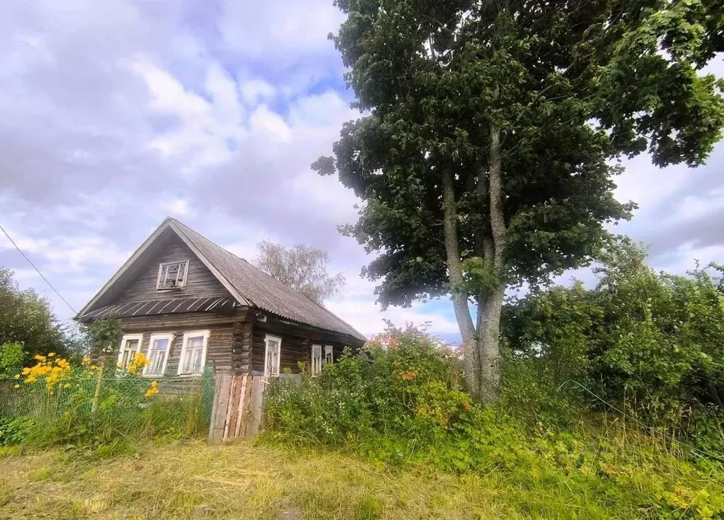 Участок в Ленинградская область, Волховский район, Бережковское с/пос, ... - Фото 1