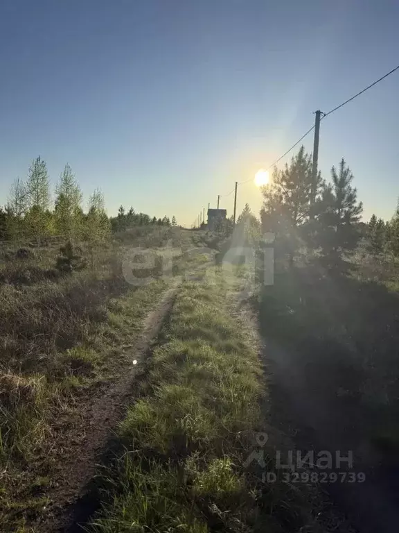 Участок в Курганская область, Кетовский муниципальный округ, ... - Фото 1