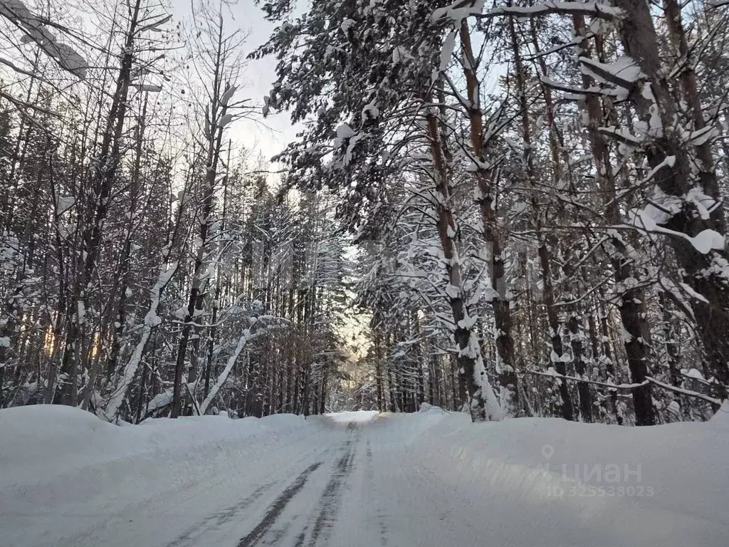 Дом в Новосибирская область, Новосибирский район, Барышевский ... - Фото 2