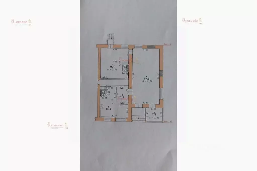 Торговая площадь в Свердловская область, Екатеринбург ул. ... - Фото 2