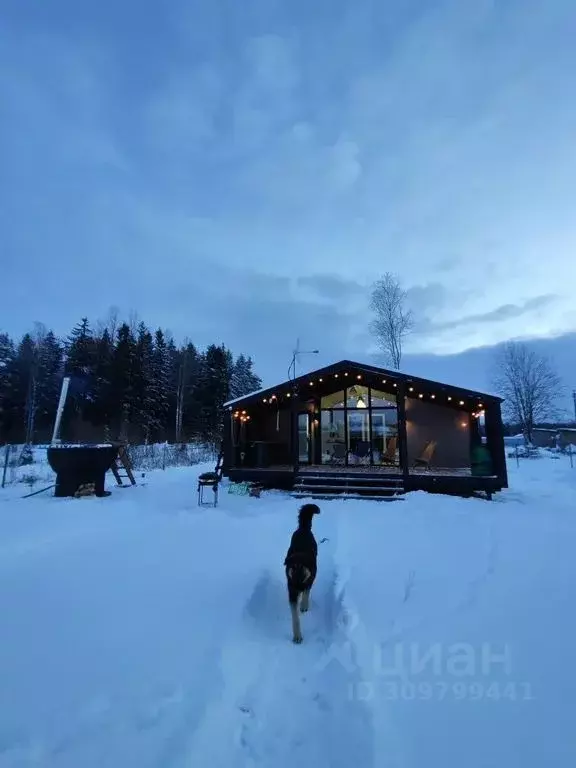 Дом в Ленинградская область, Гатчинский муниципальный округ, ... - Фото 1