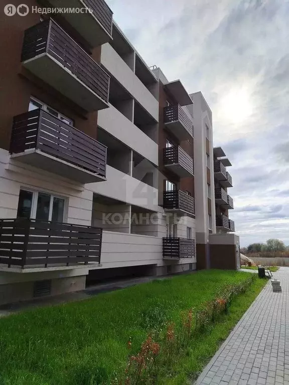 Квартира-студия: Новая Усмань, Полевая улица, 22 (27.5 м) - Фото 1