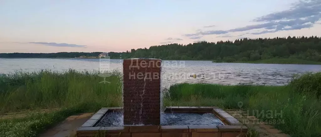 Участок в Новгородская область, Боровичский район, Железковское с/пос, ... - Фото 1