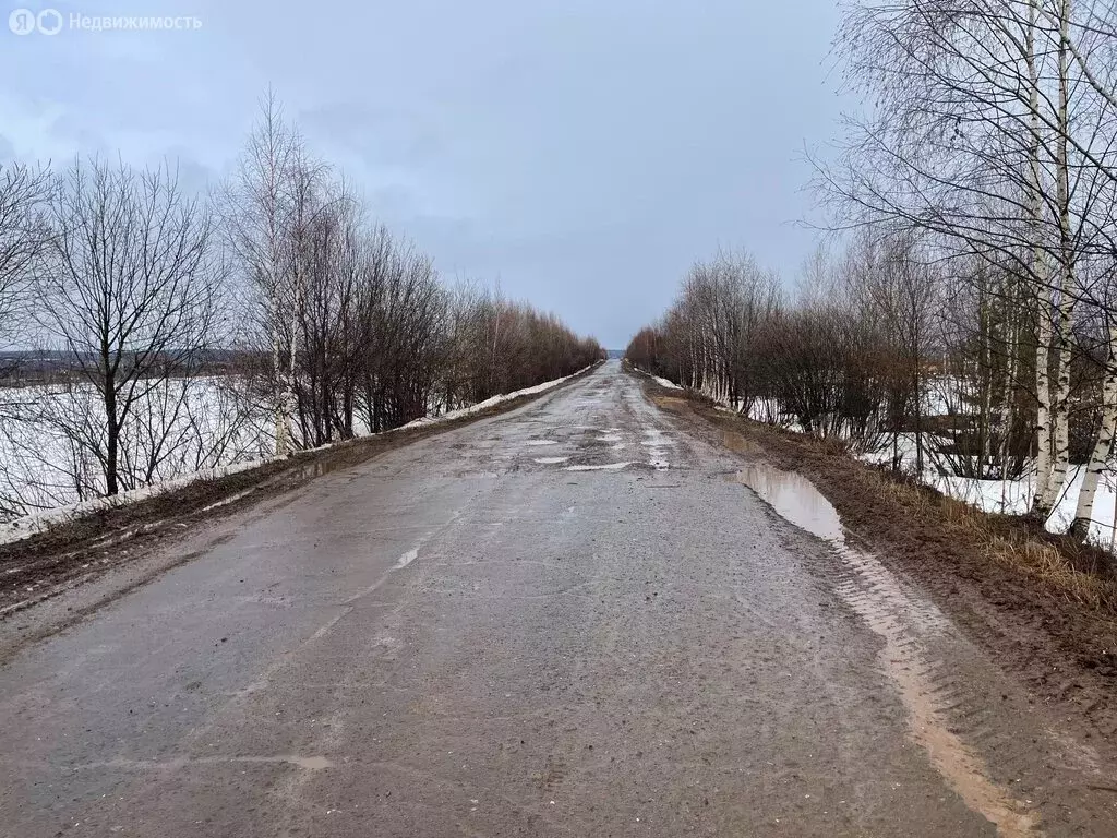 Участок в деревня Нижняя Гаревая, Луговая улица, 30 (19.28 м) - Фото 1