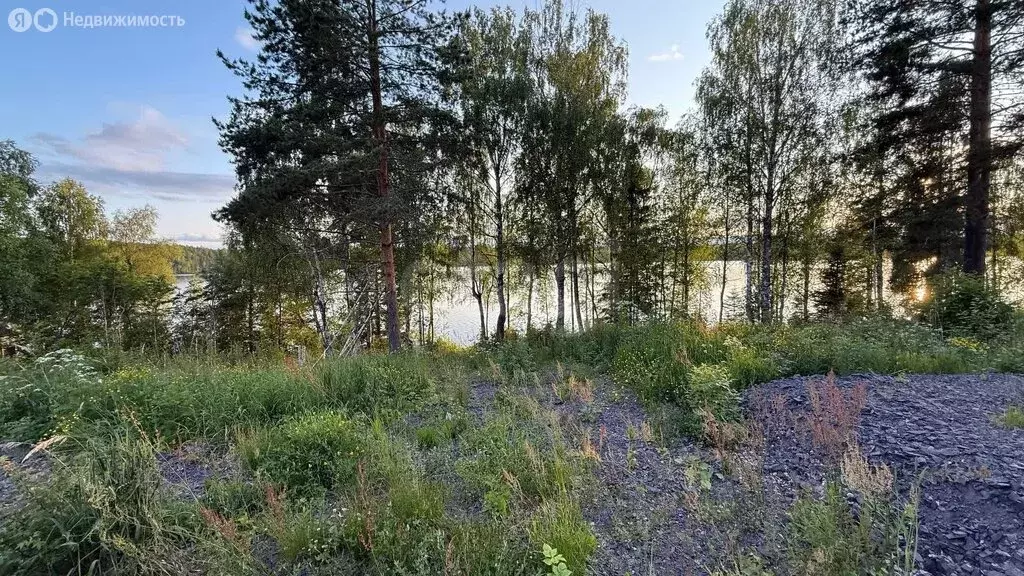 Участок в Петровское сельское поселение, деревня Мунозеро (36.5 м) - Фото 0