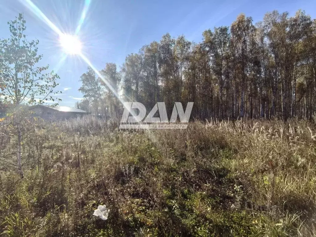 Участок в Челябинская область, Сосновский муниципальный округ, с. ... - Фото 1