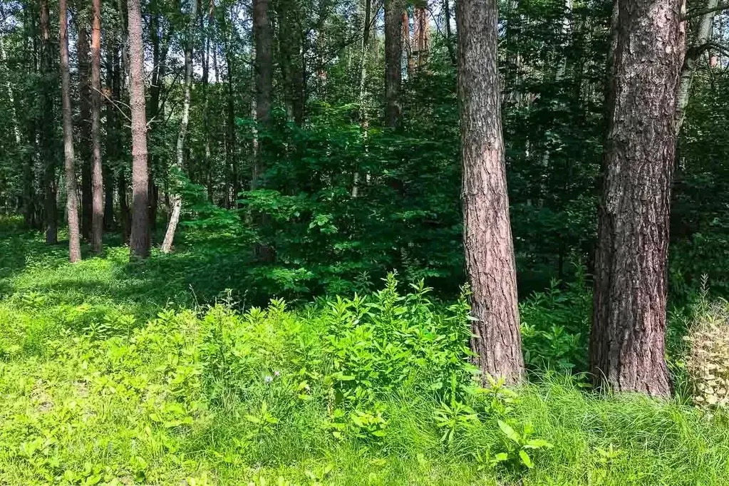 Участок, 19.5 сот., поселения (ижс) - Фото 1