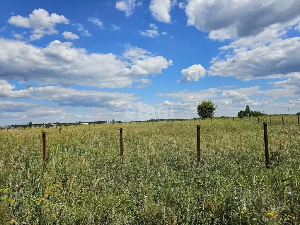 Участок в Тамбовская область, Тамбов городской округ, д. Лужки  (48.8 ... - Фото 0