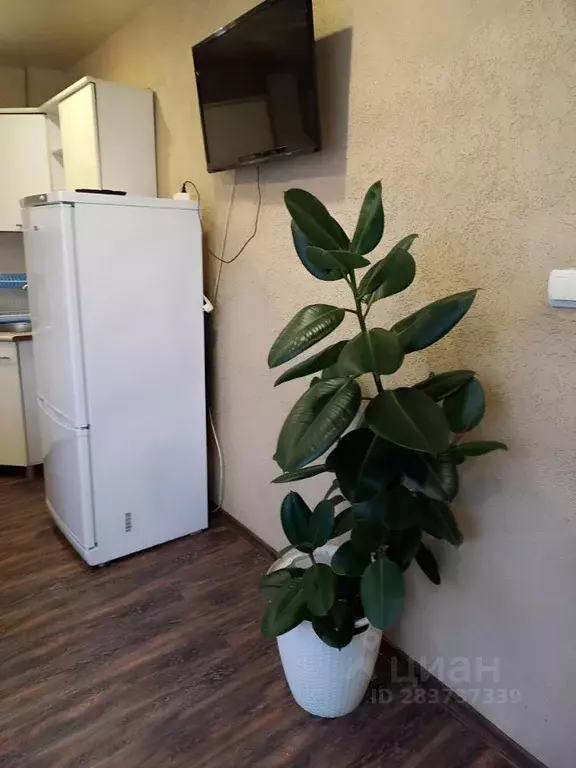 Дом в Краснодарский край, Анапа муниципальный округ, с. Витязево ул. ... - Фото 2