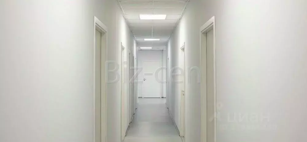 Офис в Санкт-Петербург Хрустальная ул., 11Х (295 м) - Фото 1