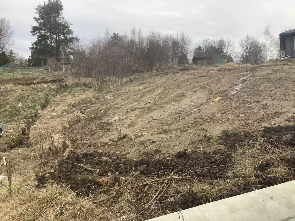 Участок в Ленинградская область, Приозерский район, Запорожское с/пос, ... - Фото 0