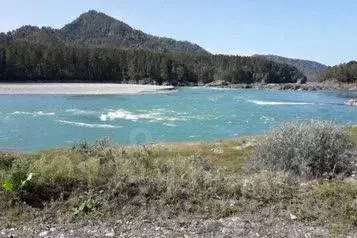 Дом в Алтай, Майминский район, с. Манжерок Катунская ул., 2 (25 м) - Фото 1