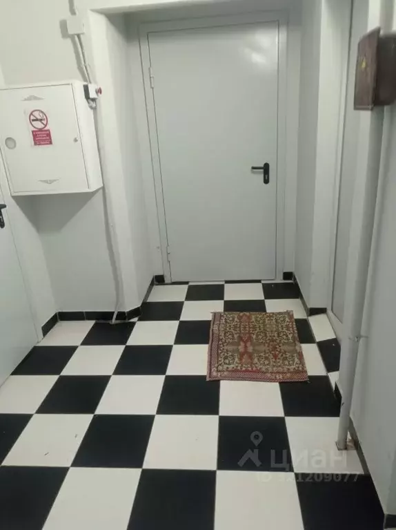 Комната Белгородская область, Строитель Яковлевский городской округ, ... - Фото 1