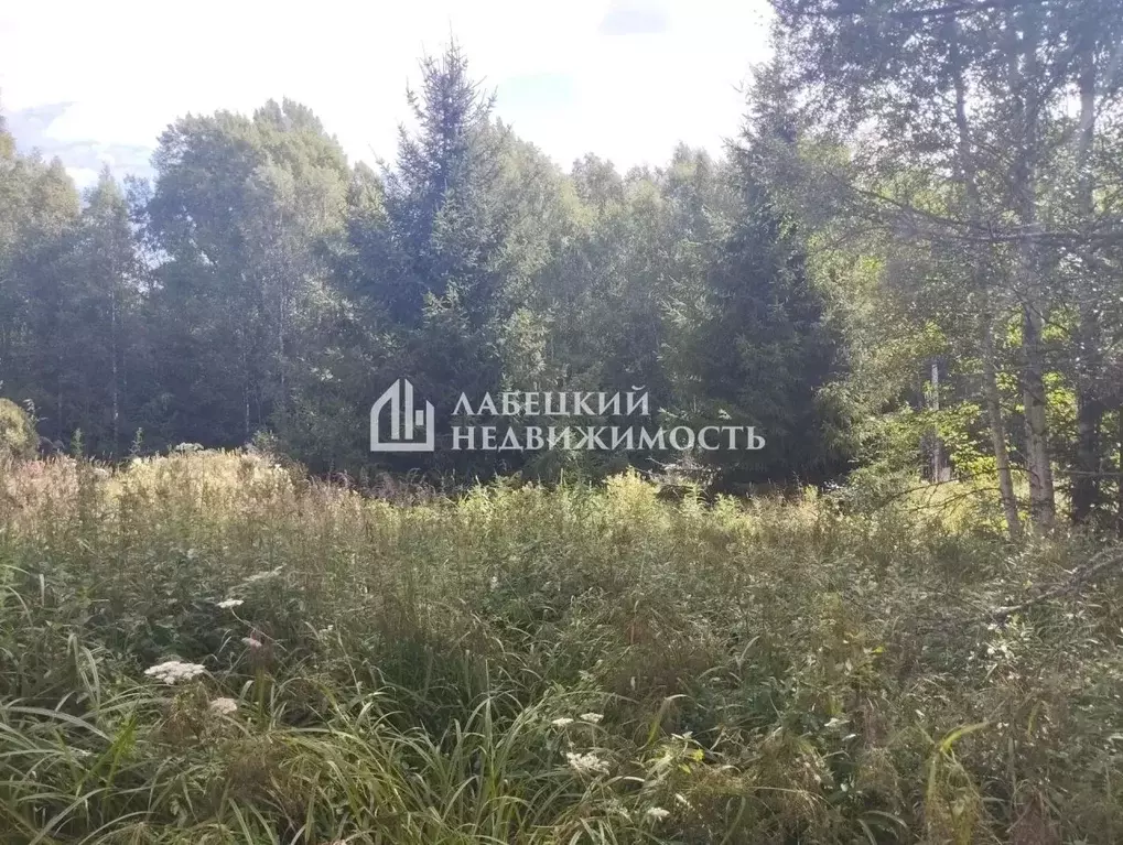Участок в Московская область, Раменский муниципальный округ, ... - Фото 2