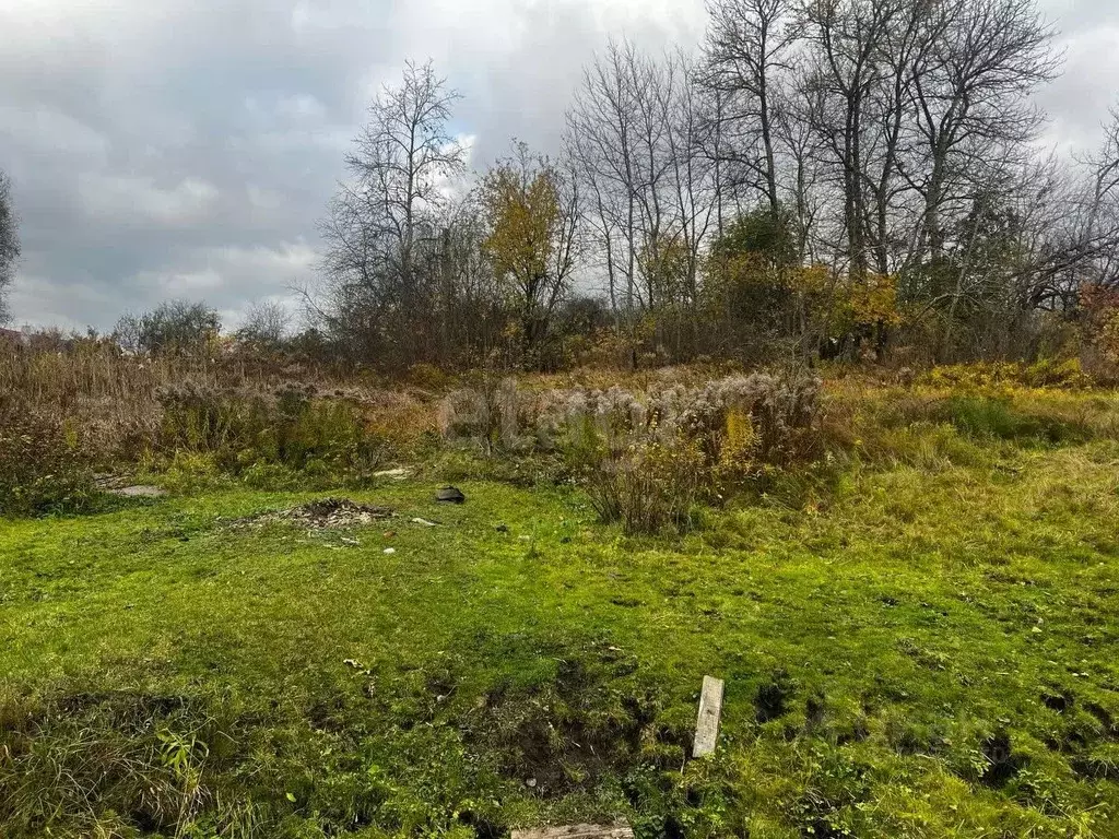 Участок в Брянская область, Брянск Большое Полпино пгт, Молодежная ул. ... - Фото 2