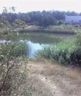 Дом в Крым, Симферопольский район, Добровское с/пос, Горный Сокол ... - Фото 2