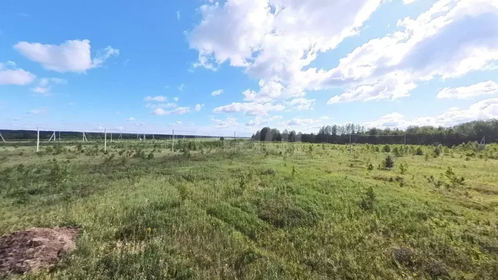 Участок в Тюменская область, Тюменский муниципальный округ, с. Кулига, ... - Фото 0