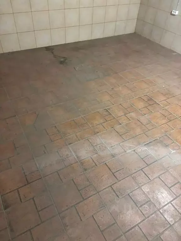 Склад в Свердловская область, Екатеринбург пер. Ковровый, 41 (81 м) - Фото 2