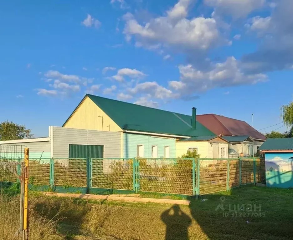 Дом в Липецкая область, Добровский муниципальный округ, с. Борисовка ... - Фото 1