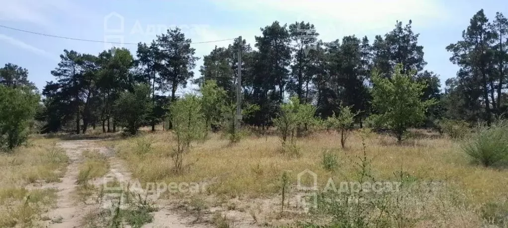 Участок в Волгоградская область, Волгоград пер. Артезианский (8.55 ... - Фото 1