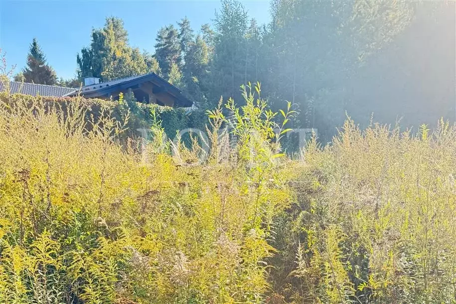 Участок в Московская область, Одинцовский городской округ, с. ... - Фото 2