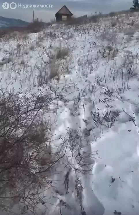 Участок в село Сотниково, СНТ Багульник, 3-й квартал (6.06 м) - Фото 1