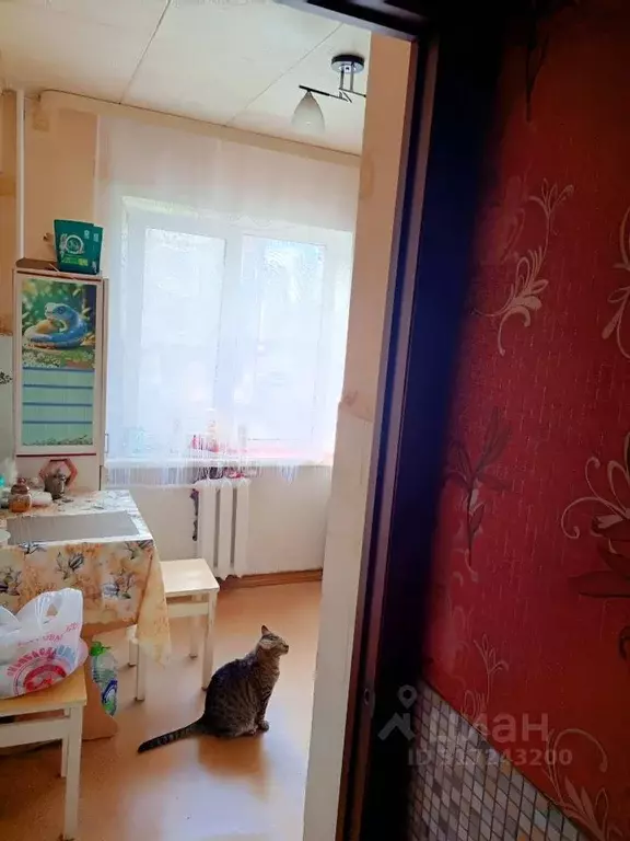 2-к кв. Брянская область, Брянск Московский просп., 50 (44.3 м) - Фото 1