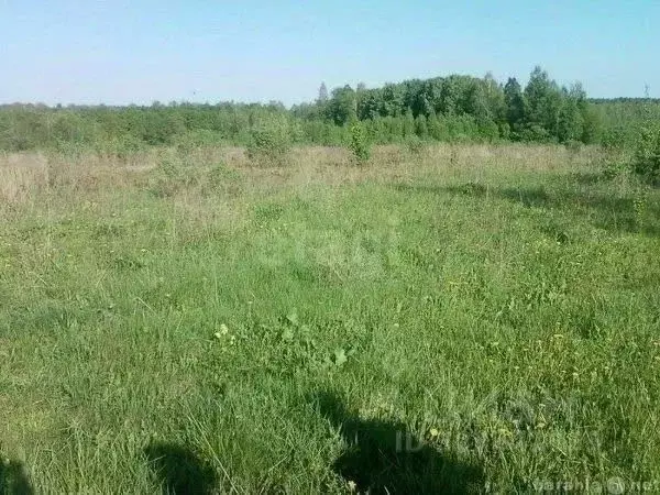 Участок в Пермский край, Пермский муниципальный округ, д. Полюдово  ... - Фото 1