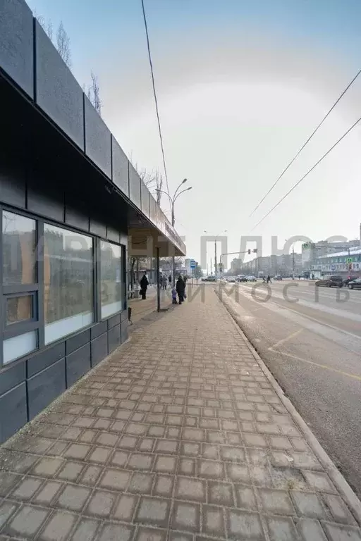 Торговая площадь в Липецкая область, Липецк ул. М.И. Неделина, 26 (13 ... - Фото 1