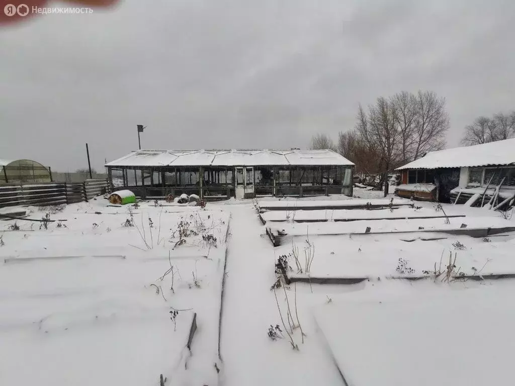 Участок в Гоньба, Барнаульская улица, 1В (22 м) - Фото 1