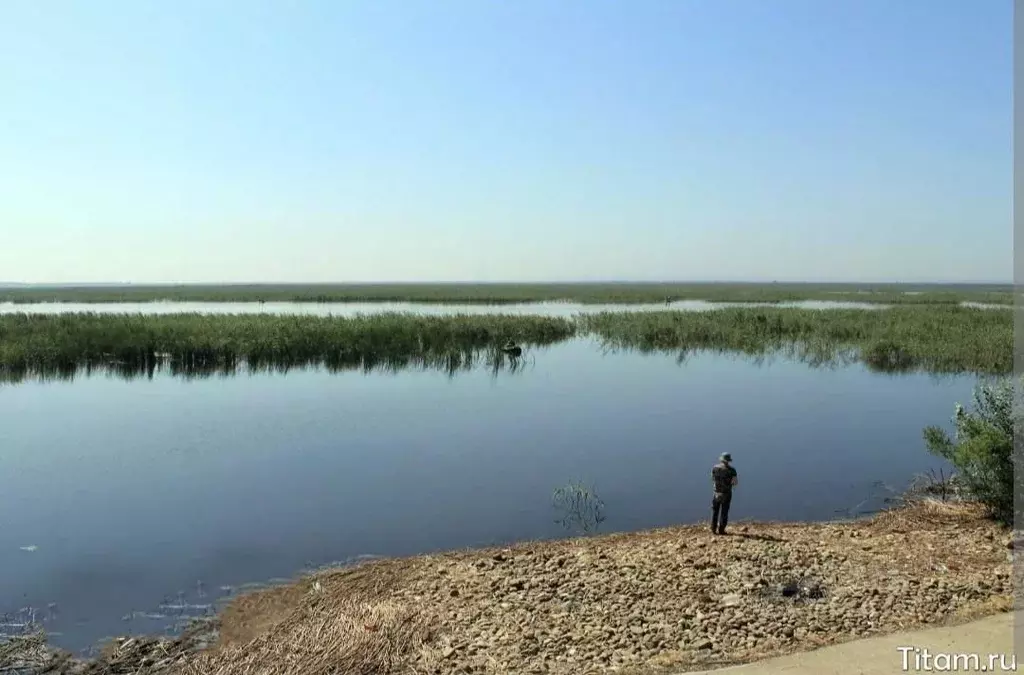 Участок в Адыгея, Тахтамукайский район, Старобжегокайское с/пос, ... - Фото 2