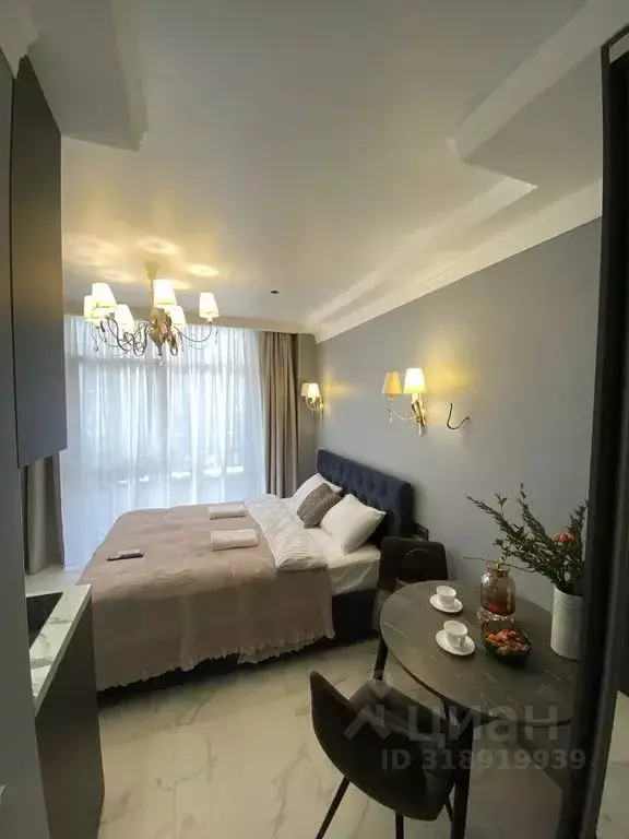 1-к кв. Краснодарский край, Сочи ул. Ленина, 219/31Б (25.0 м) - Фото 0