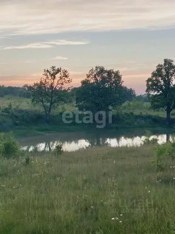 Участок в Тульская область, Дубенский район, Протасовское ... - Фото 1