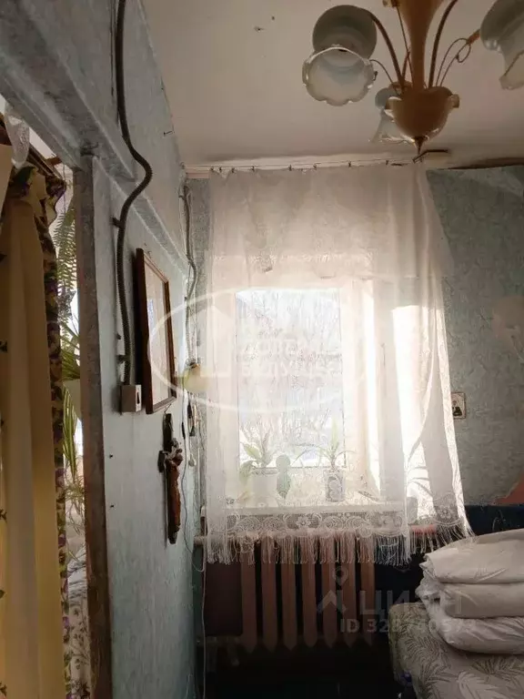 Дом в Удмуртия, Сарапул Северный жилрайон, ул. Павлова, 32 (46 м) - Фото 2