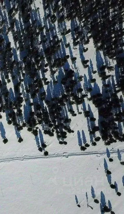 Участок в Алтай, Онгудайский район, с. Каракол  (358.0 сот.) - Фото 1