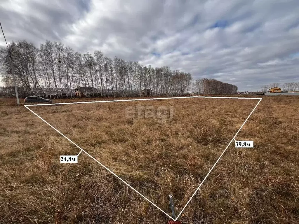 Участок в Омская область, Омский район, с. Усть-Заостровка ул. ... - Фото 0