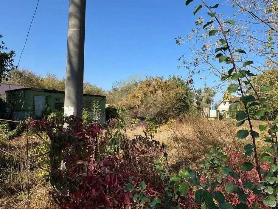 Участок в Белгородская область, Старый Оскол Фиалка садовые участки, ... - Фото 1